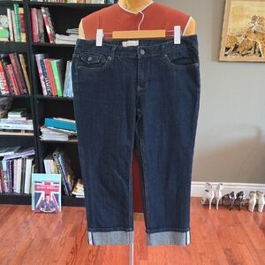 Banana Republic Dark Blue Cropped Capris